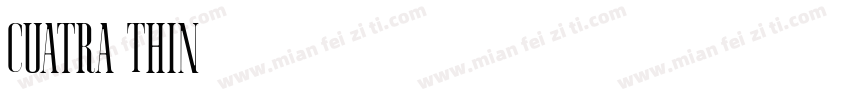 Cuatra Thin字体转换